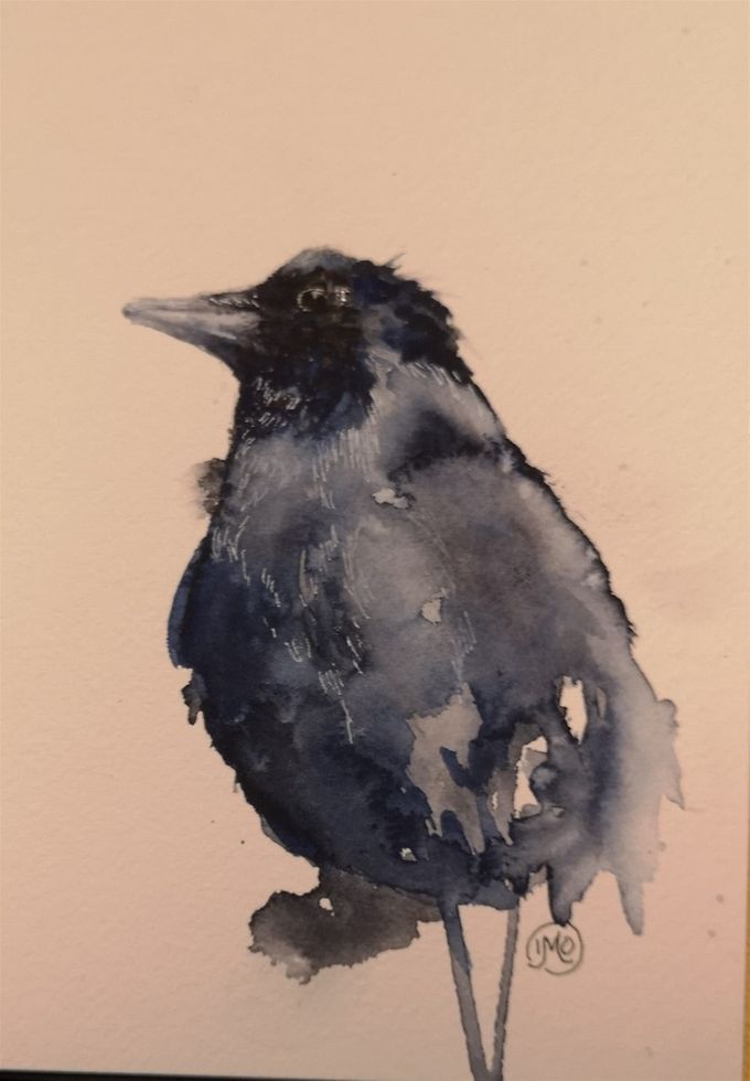 Snabbt målad kråkfågel, 15x20cm 600:-/£60/$60 SÅLD/SOLD